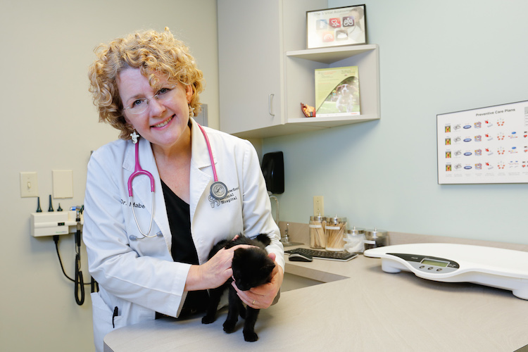 Catherine  Mabe, DVM