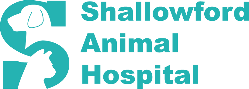 Shallowford Animal Hospital | Located in Chattanooga, TN