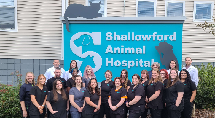 Shallowford staff and vets